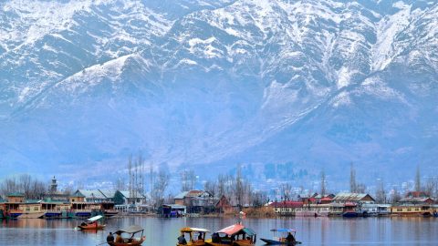 印度之旅：喀什米爾Kashmir──斯利納加Srinagar