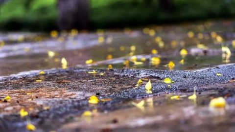 雨岸連思六首