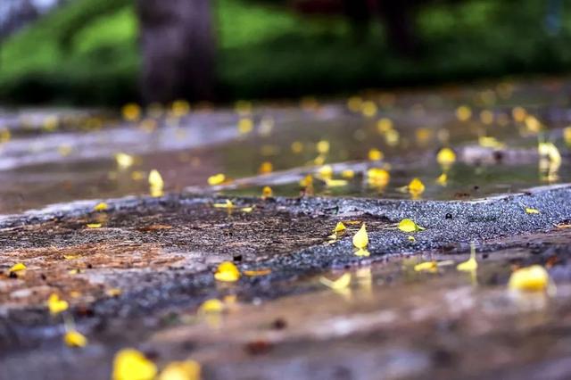 雨岸連思六首