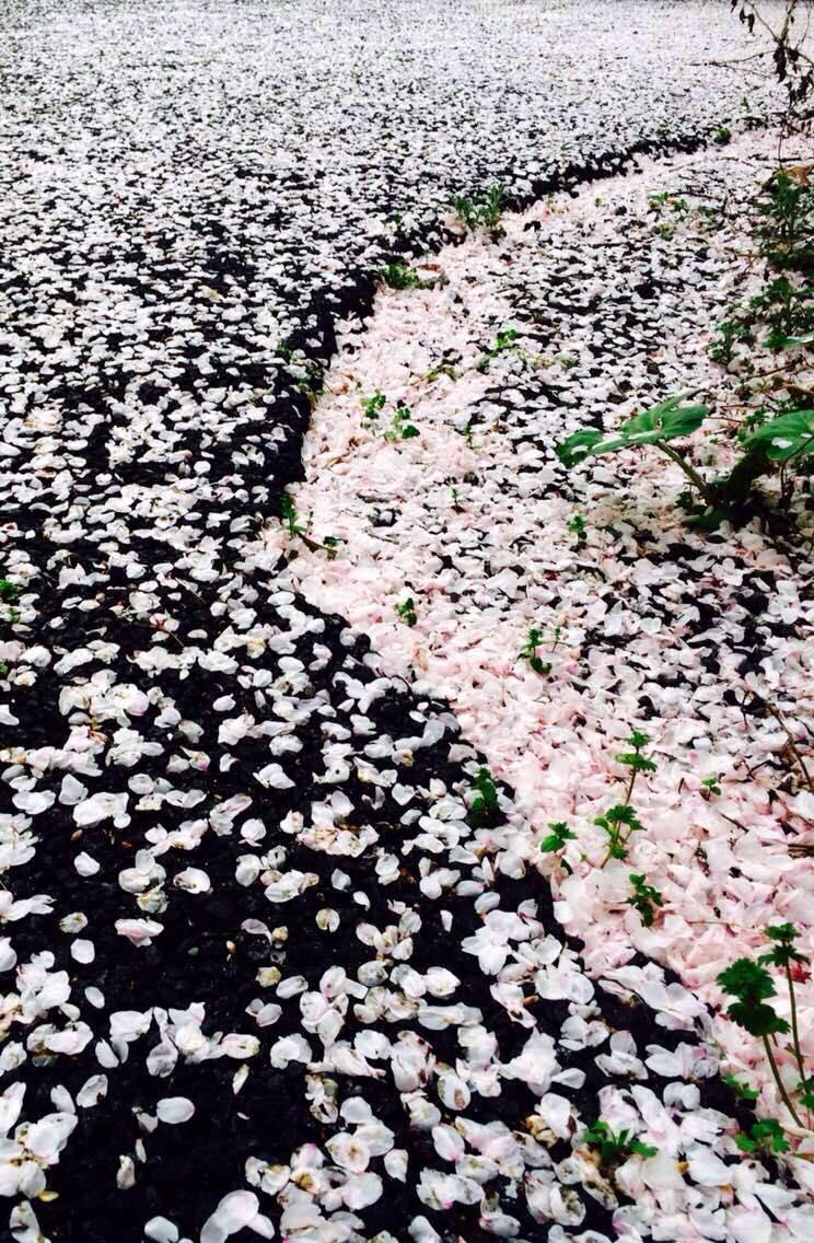 我想回到童年