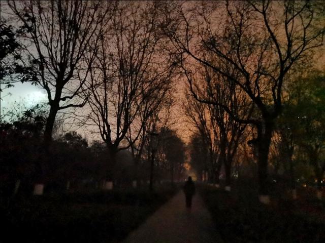城夜