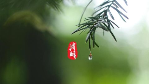 清明，泠泠雨落下