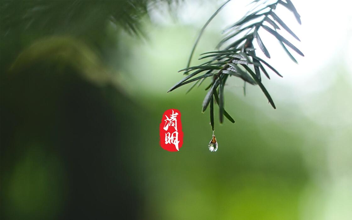 清明，泠泠雨落下