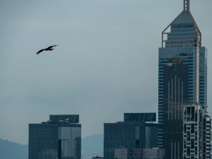 同一片天空下