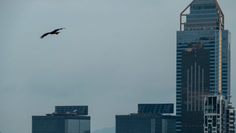 同一片天空下