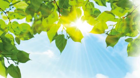 庚子．午月的青陽