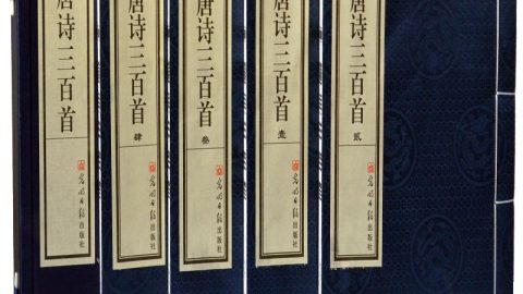 夏天正是讀書天
