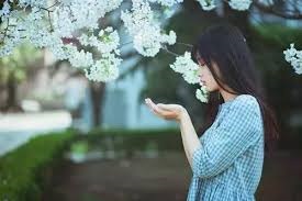 回到山花初放的季節——致詩人犁青
