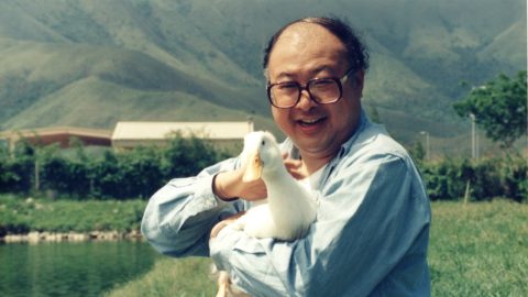何紫生平簡介