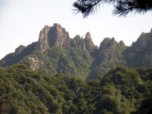 讀書環境將涸，「魚類」相濡以沫——一個作聯同人獻曝