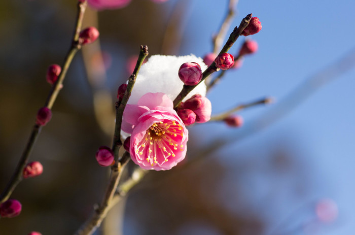 編後語：一同沉醉在花海春風裏