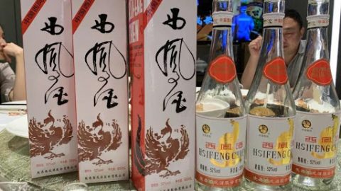 西鳳酒與香港的不解之緣