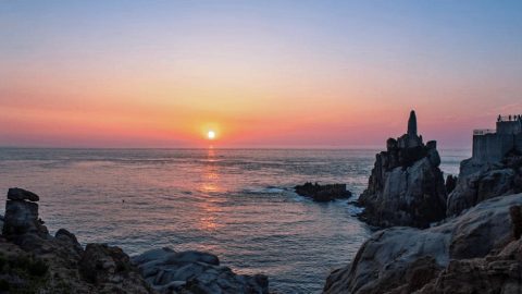 大海的淨化
