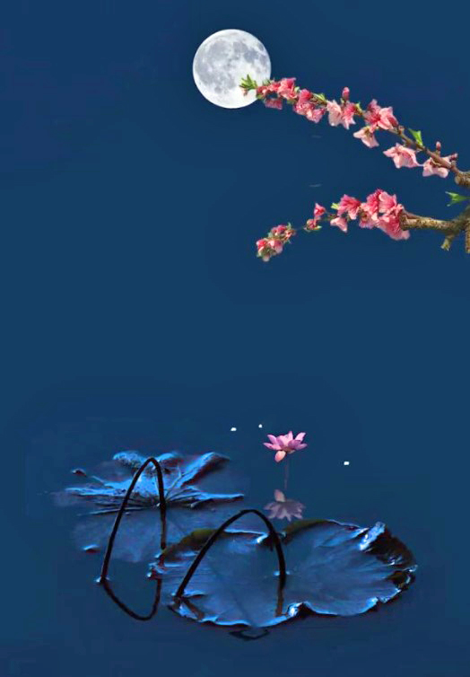 朋友就是鏡花水月中的自己