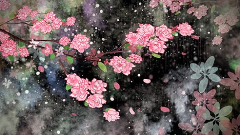 卷首語：瑰麗迷人的文化花園