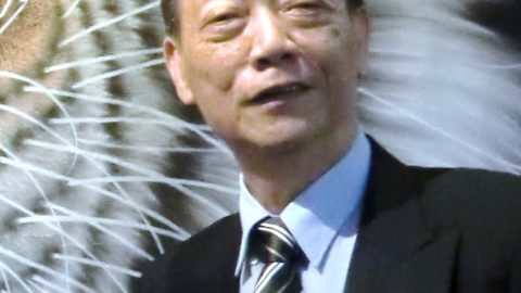 作聯的後備軍