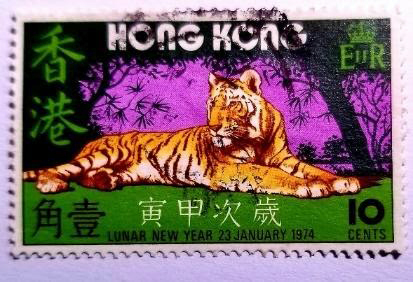 跑遍港九新界的壹角錢老虎