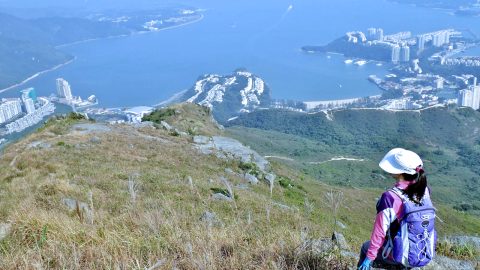 虎山行