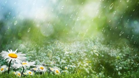 香江壬寅三首