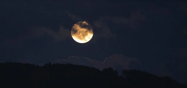 中秋夜待月（外一首）