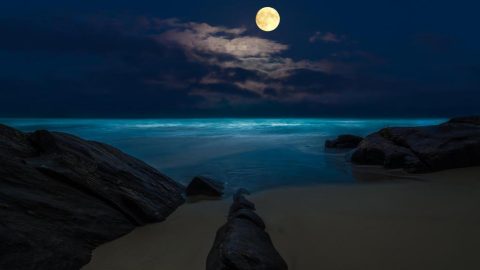 月夜流浪的原鄉