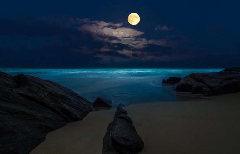 月夜流浪的原鄉