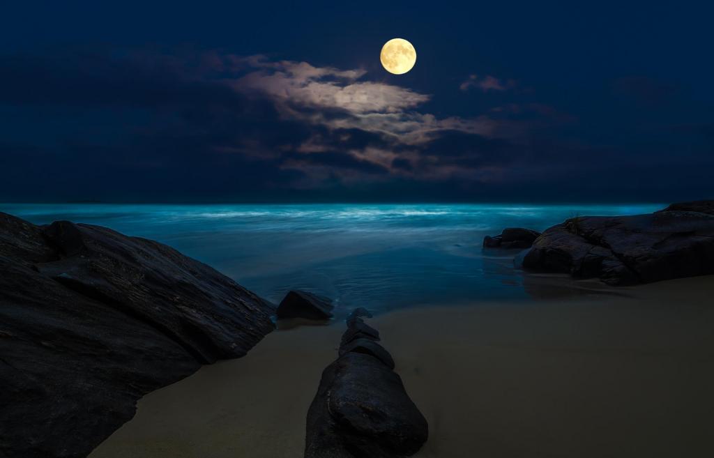 月夜流浪的原鄉