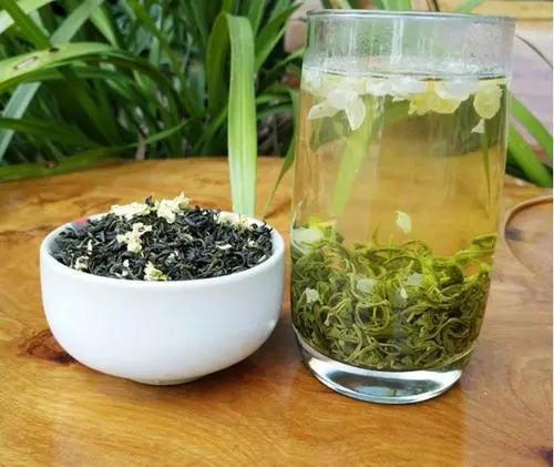 故鄉的茉莉花茶