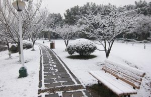 南客北雪賦