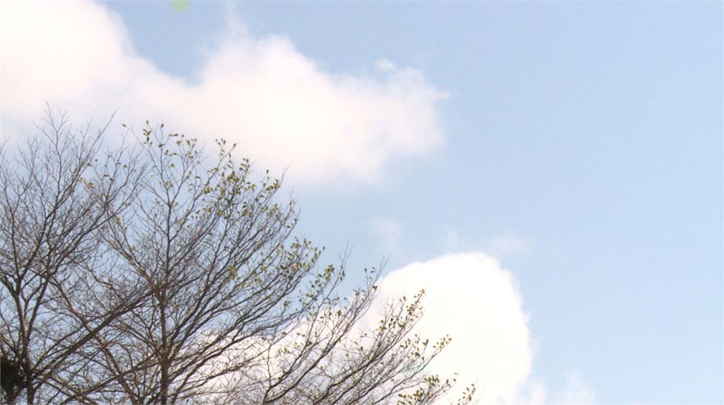 暖冬遐思述