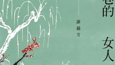 謝越芳新小說《柳家巷的女人》出版
