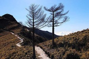 夢裏又見山丘的目光、生命是一面寫滿光陰隱語的鏡子