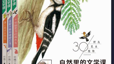 童心觀察  童趣表達——讀何騰江科普散文集《自然裏的文學課》