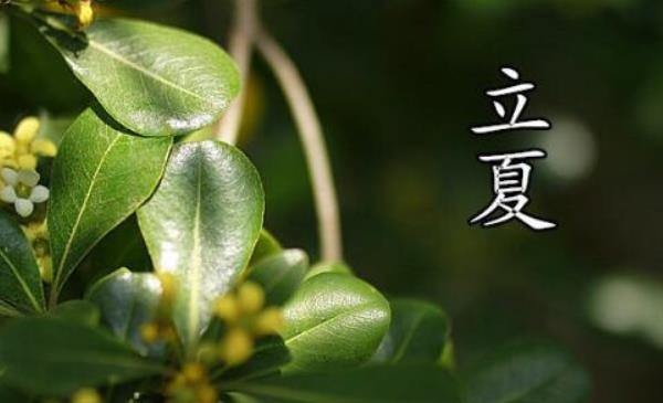 癸卯之夏六首