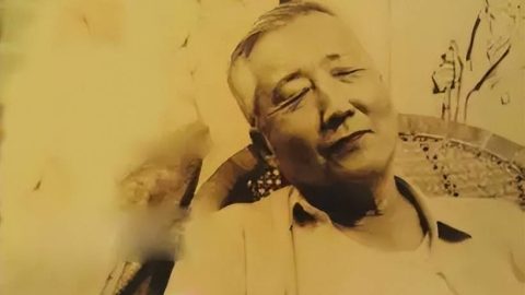 高山仰止  落花無言