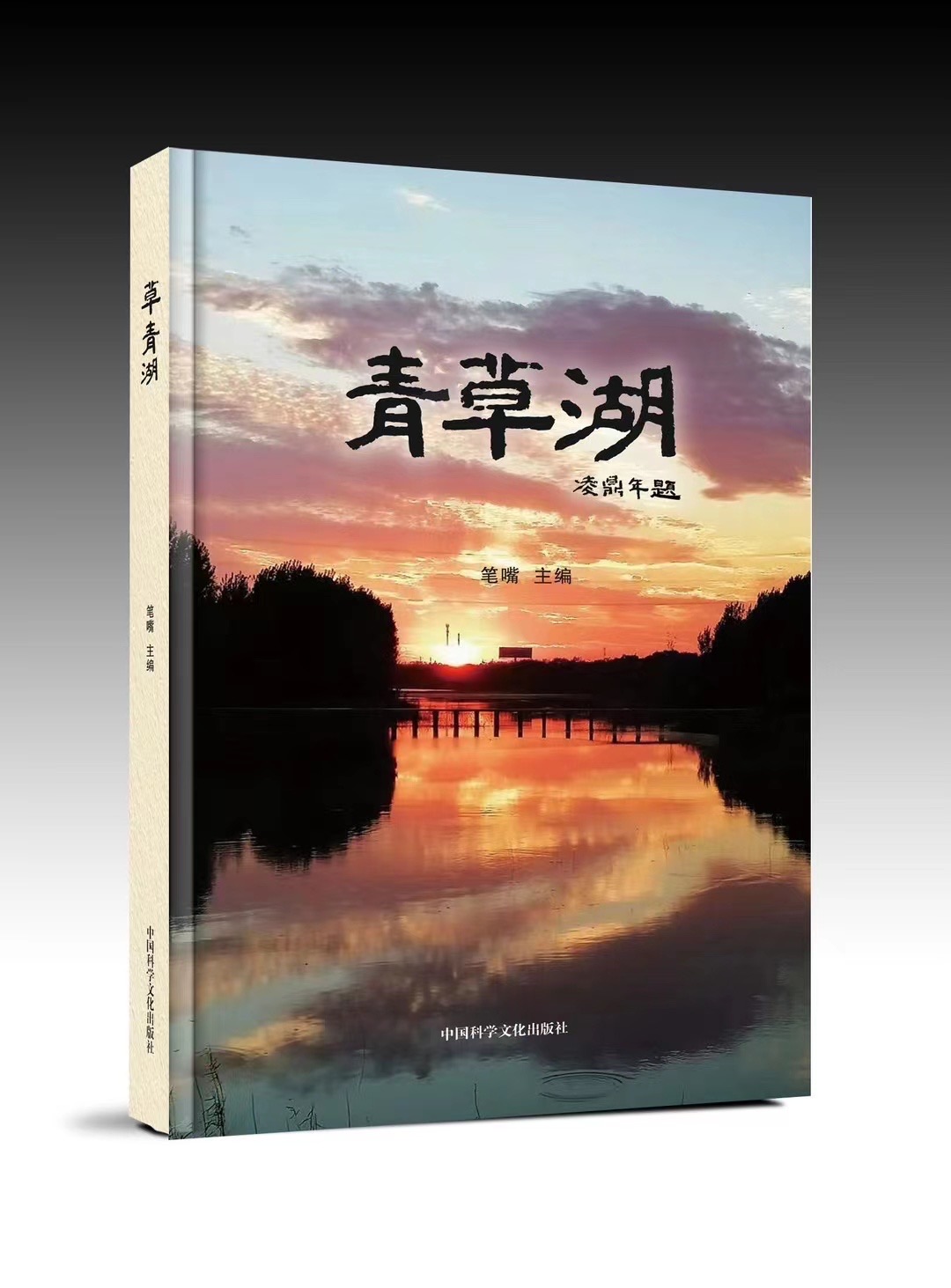 潘金英、潘明珠《青草湖》新書賀國慶
