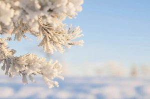 大雪（外一首）