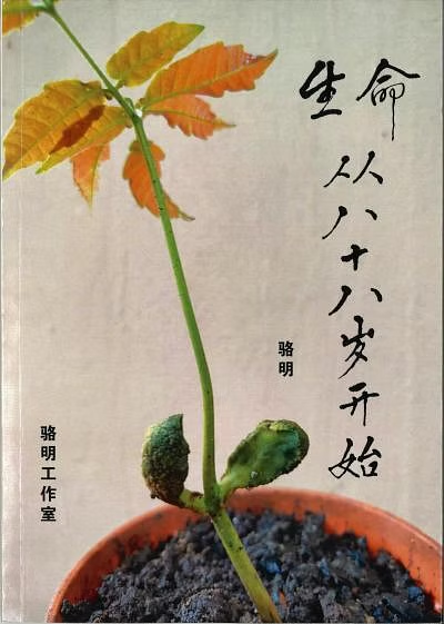 剽悍的勇士