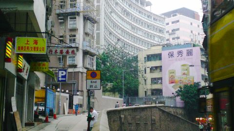 序秀蓮散文《幾回踏過雀仔橋》