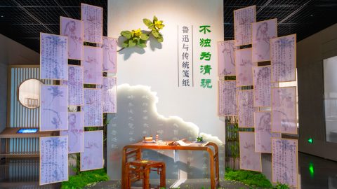 上海魯迅紀念館的箋紙清玩