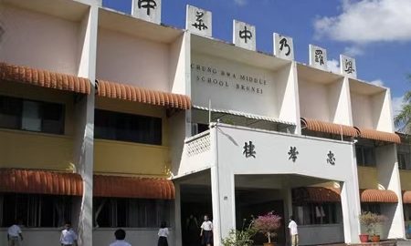 樹對根的訴說