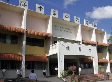 樹對根的訴說