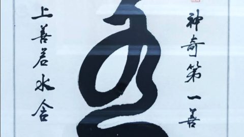 「神奇第一善」發明記略