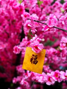 知識、財富越多，越幸福、快樂