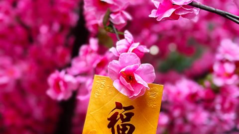 知識、財富越多，越幸福、快樂