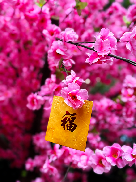 知識、財富越多，越幸福、快樂