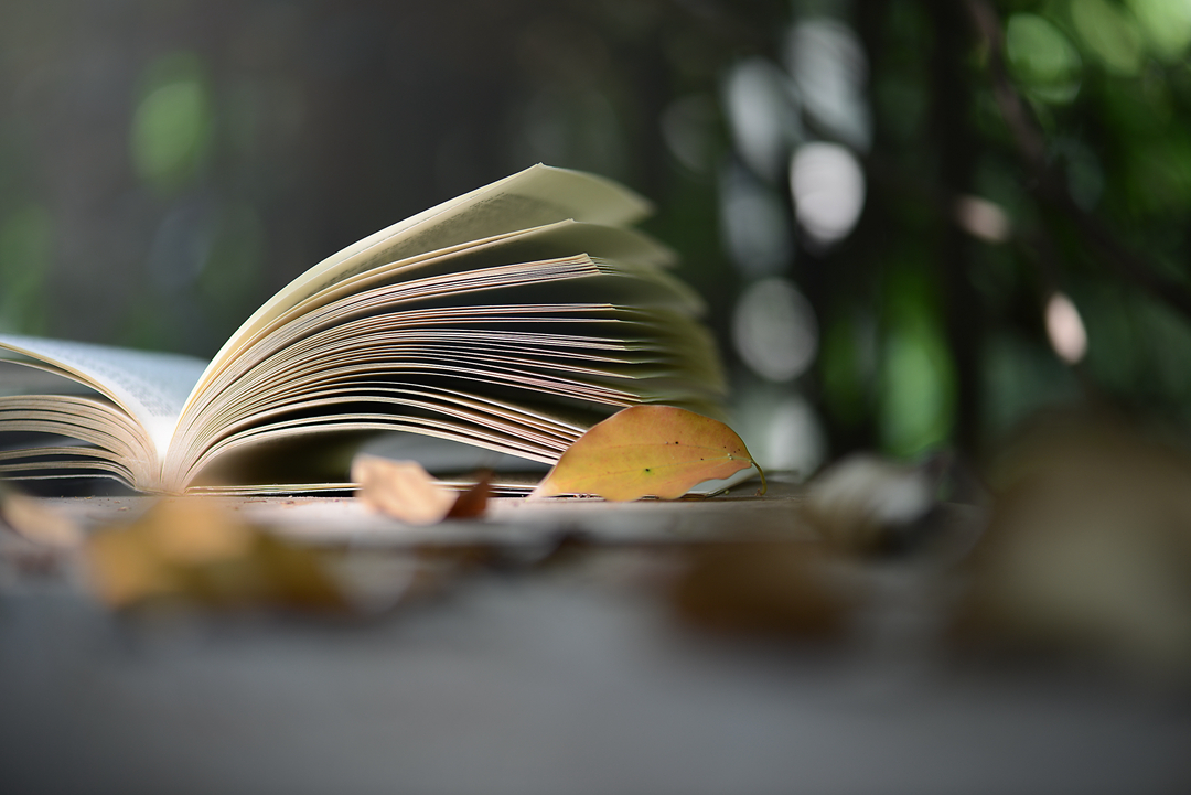 讀書偶題（外三首）