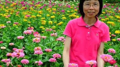島城：愛的詠歎調 ——序吳佩芳的長篇《秋山紅葉》