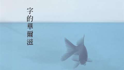 聲沉影未寂