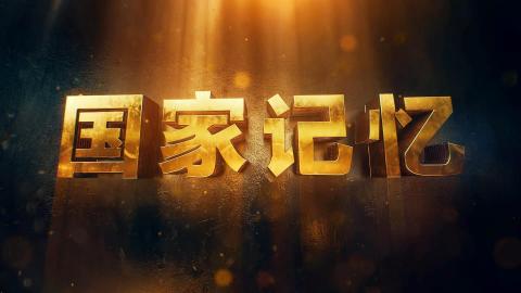 看央視《國家記憶》——烈士就義情景